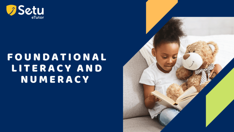 Foundational Literacy and Numeracy | SETU